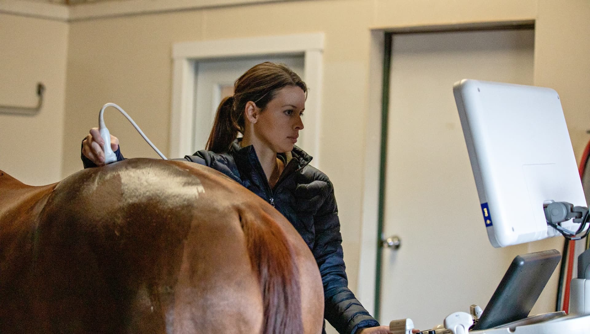 UniLasalle propose un nouveau du MS® MESB, le Master Spécialisé Master of Equine Science and Business pour Septembre 2024 à Rouen