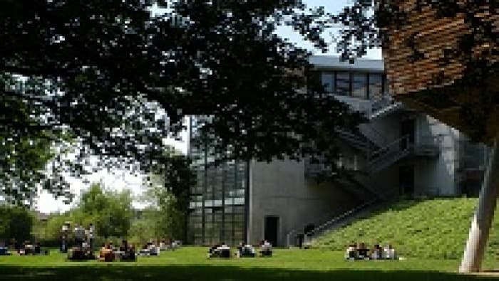 Zoom sur le Master Marketing et Management des Services de l’IAE Gustave Eiffel