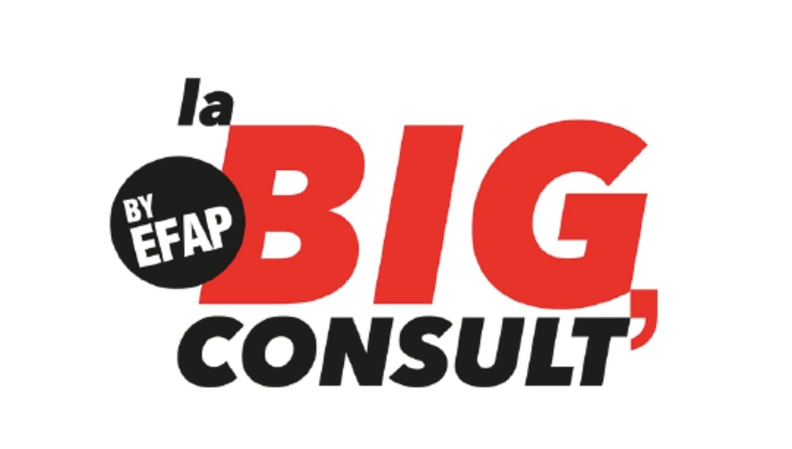 EFAP Lyon relance la Big Consult’ pour une 2e édition