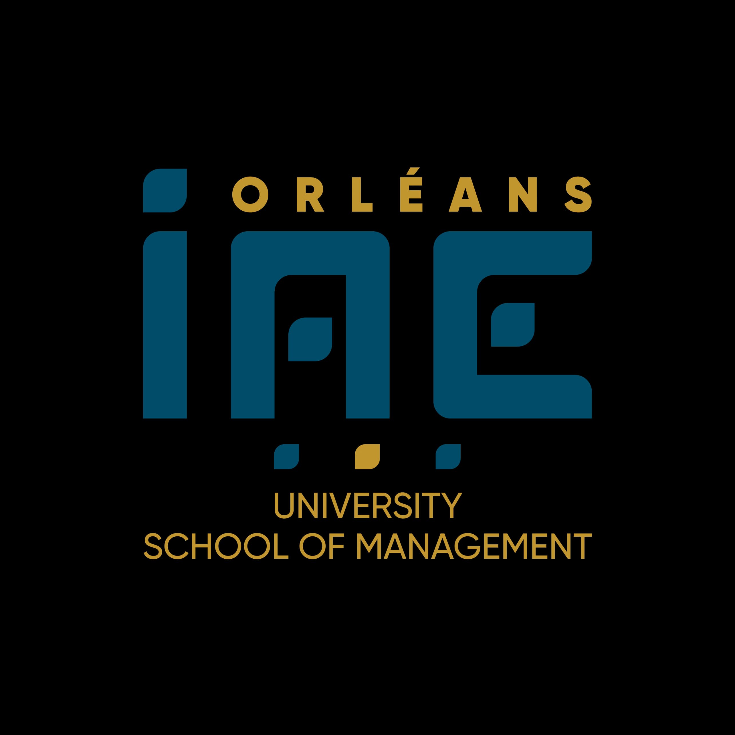 IAE Orléans
