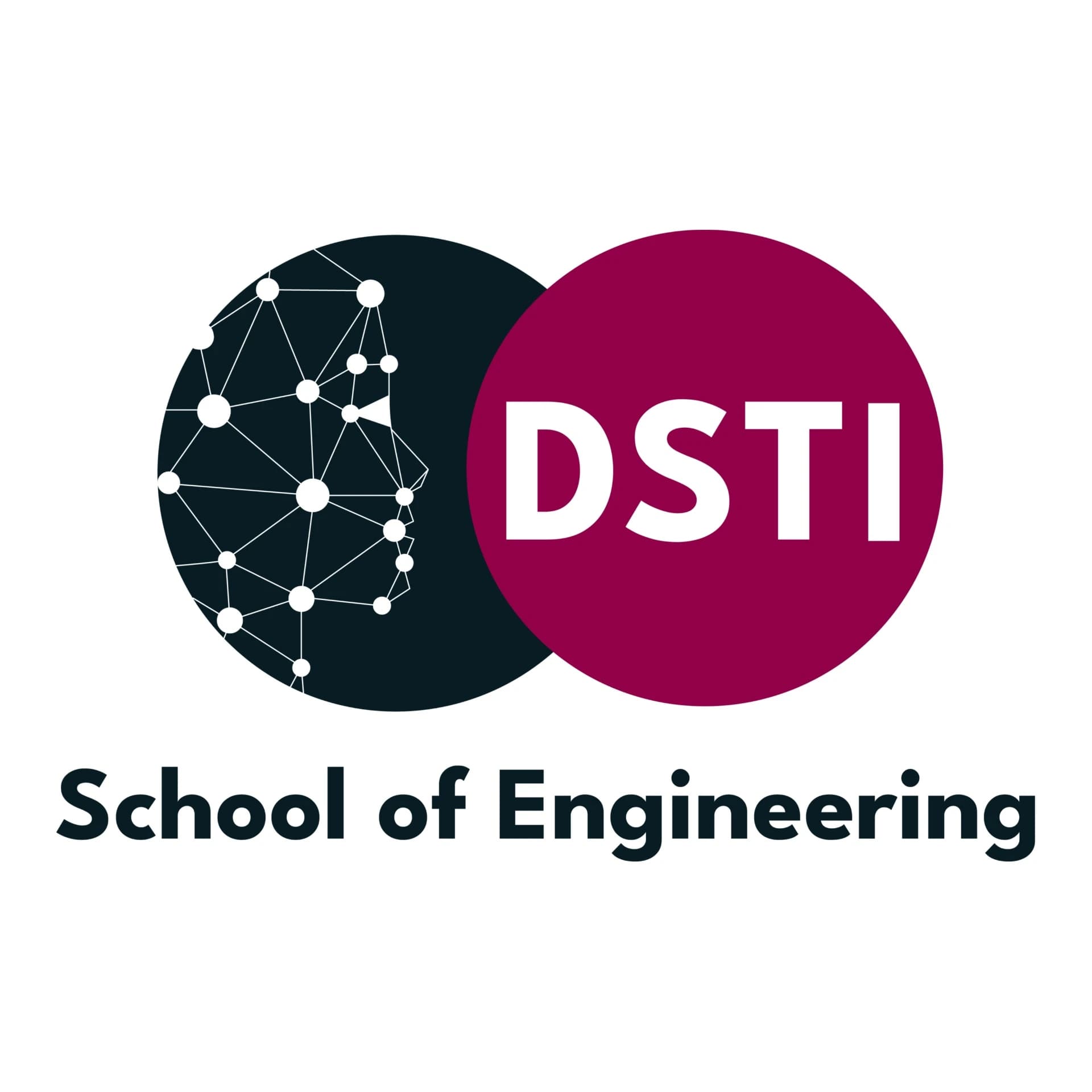 DSTI School of Engineering