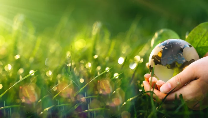 L’enseignement supérieur se mobilise pour accélérer la transition écologique