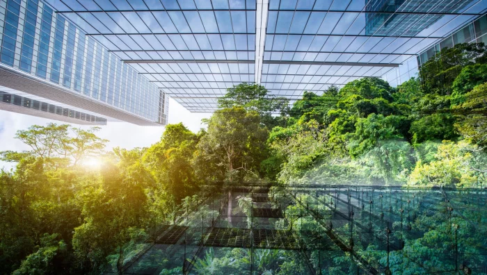 Les métiers de l’environnement qui ont la cote en 2023