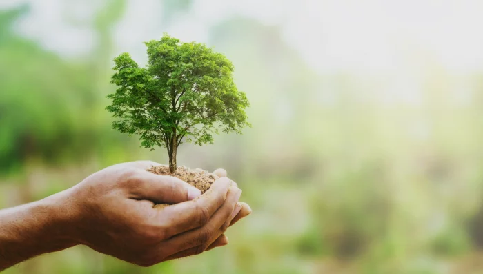 La Semaine de l'Écologie et de la Solidarité : un rendez-vous annuel pour un avenir durable