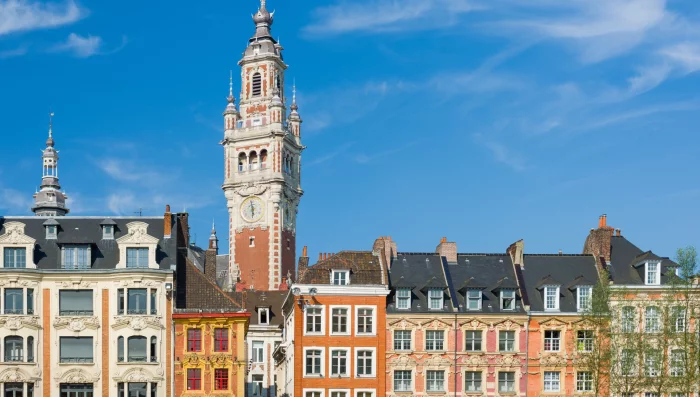 Un master sur l'urgence écologique sera bientôt proposé à Lyon, initié par des étudiants