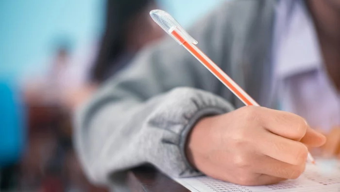 SKEMA lance de nouvelles formations en finance durable