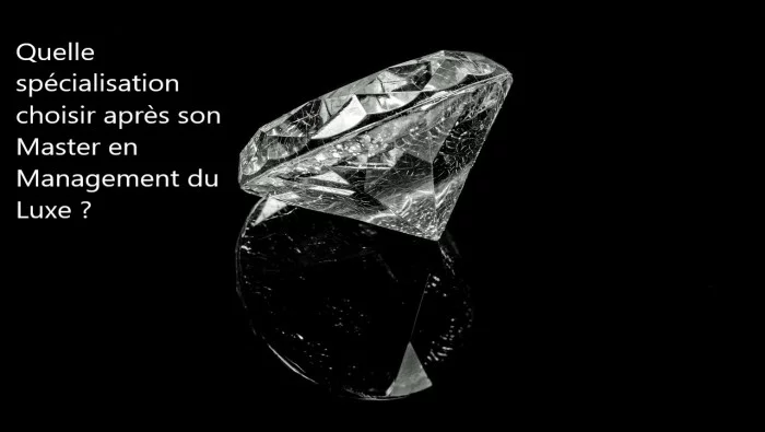 Que faire après un master luxe ?