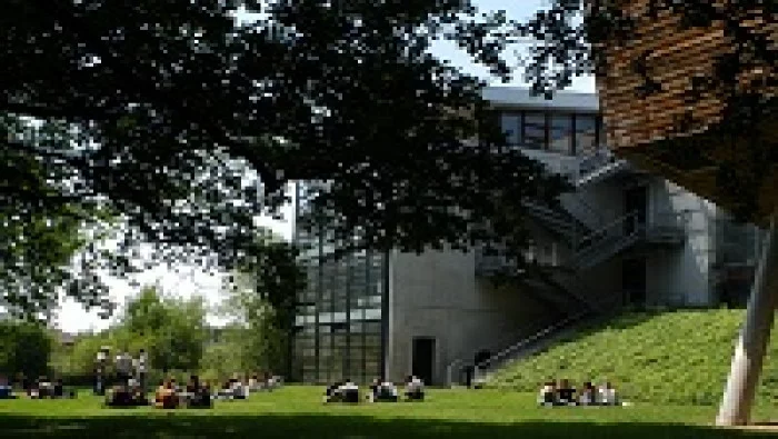 Zoom sur le Master Marketing et Management des Services de l’IAE Gustave Eiffel