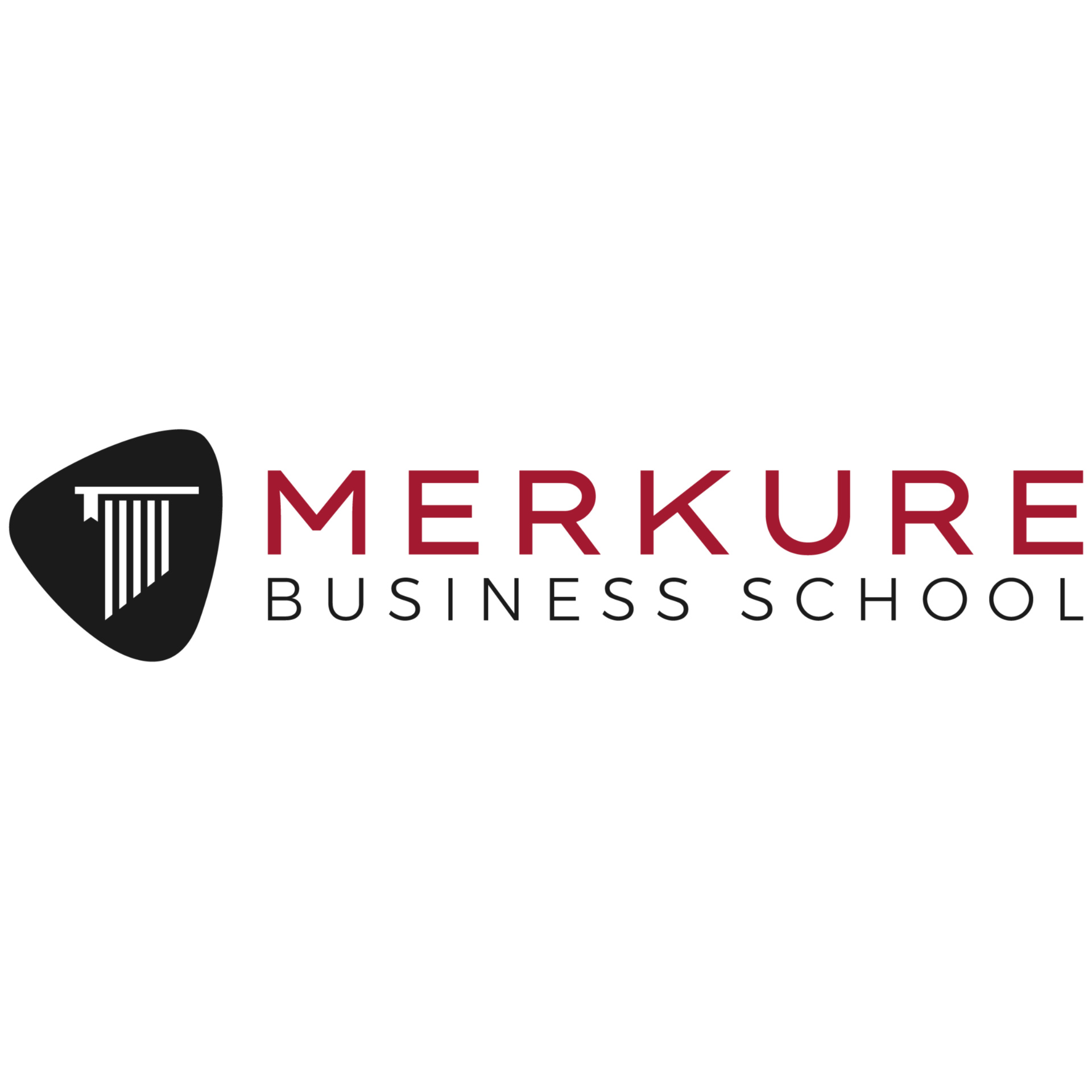 Merkure Business School